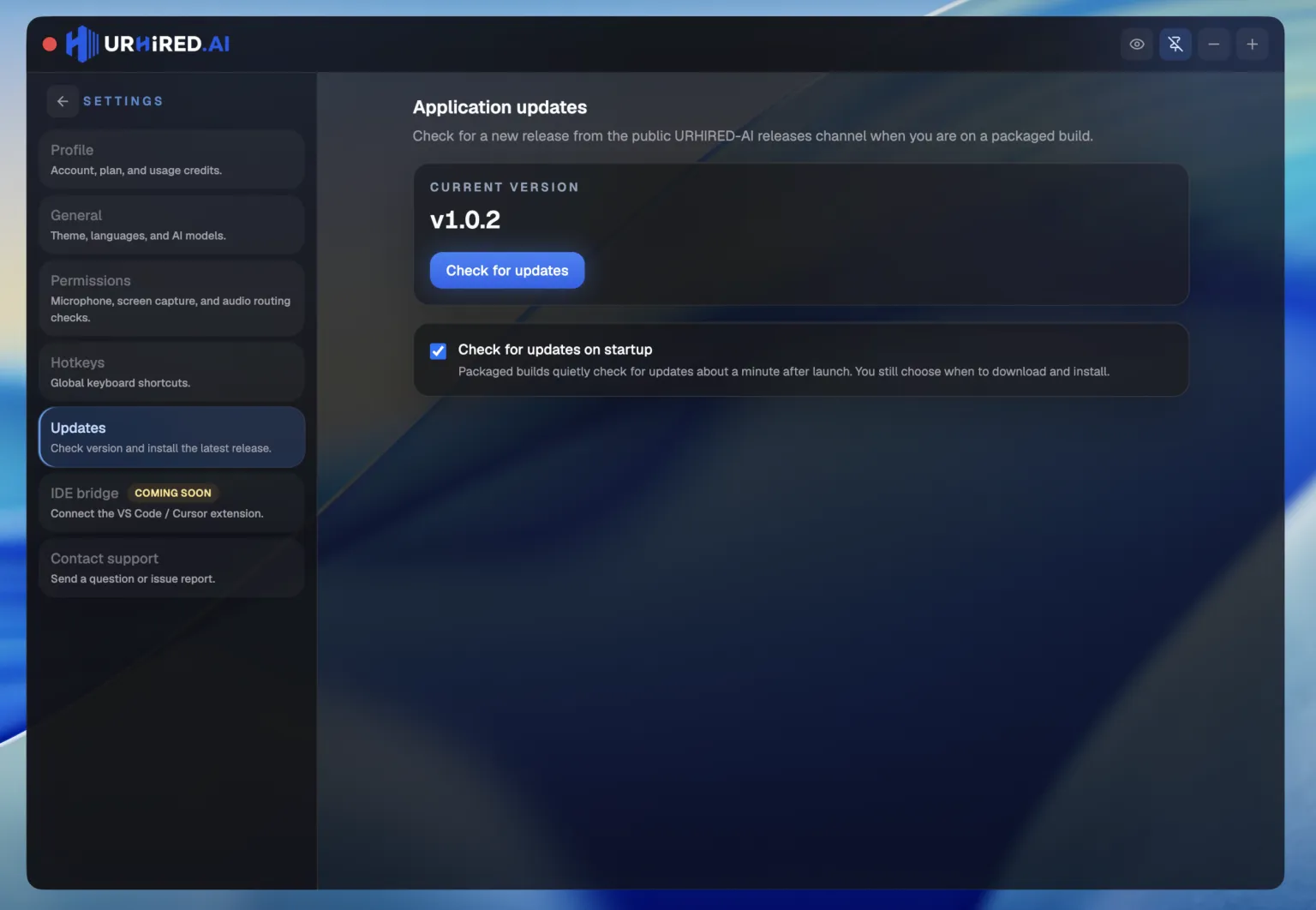 The Updates settings tab showing the current version, a check for updates button, and the startup check toggle.